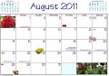 17 Aug Dates